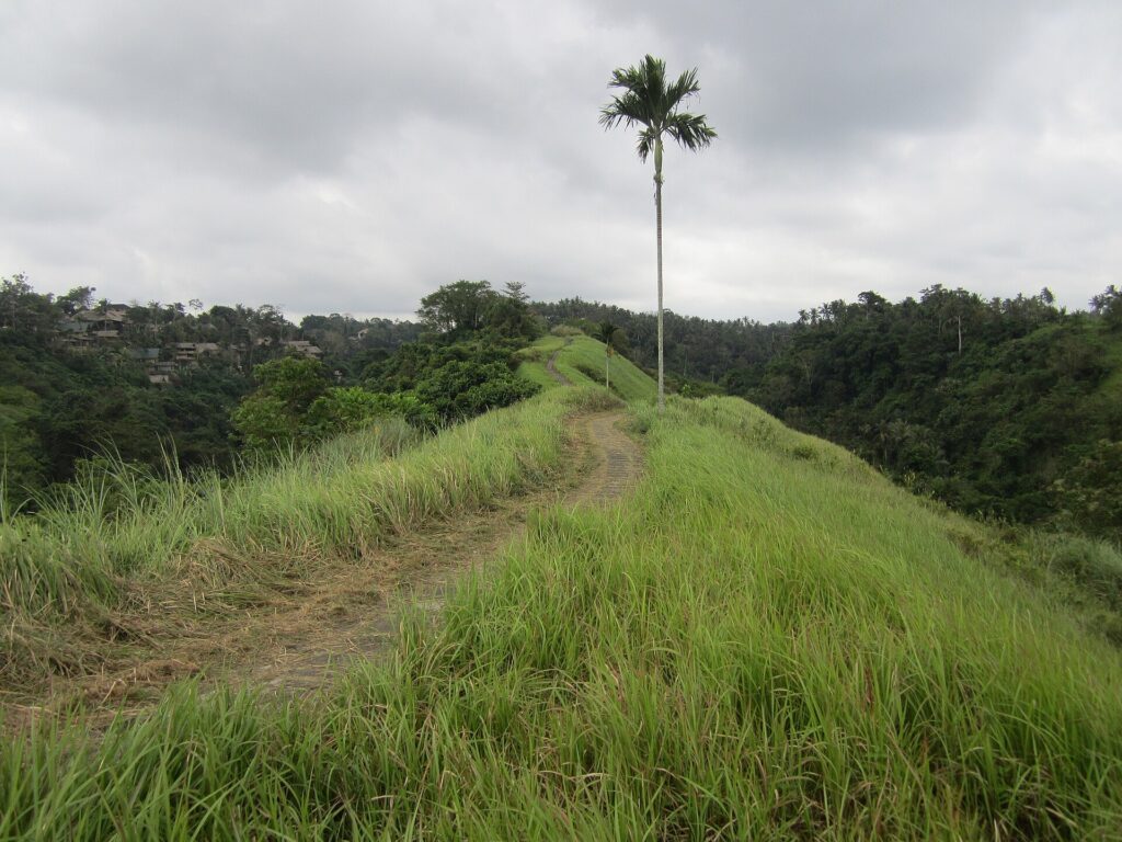 Jalur Campuhan Ridge Walk di Ubud, Bali