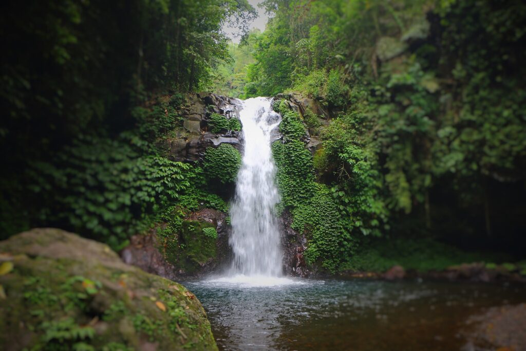 Kolam di dasar Air Terjun Gitgit, dikelilingi batu dan tanaman