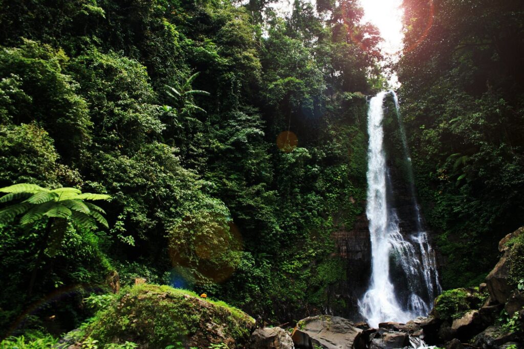 Air Terjun Gitgit di Buleleng, jatuh di antara hutan yang rapat