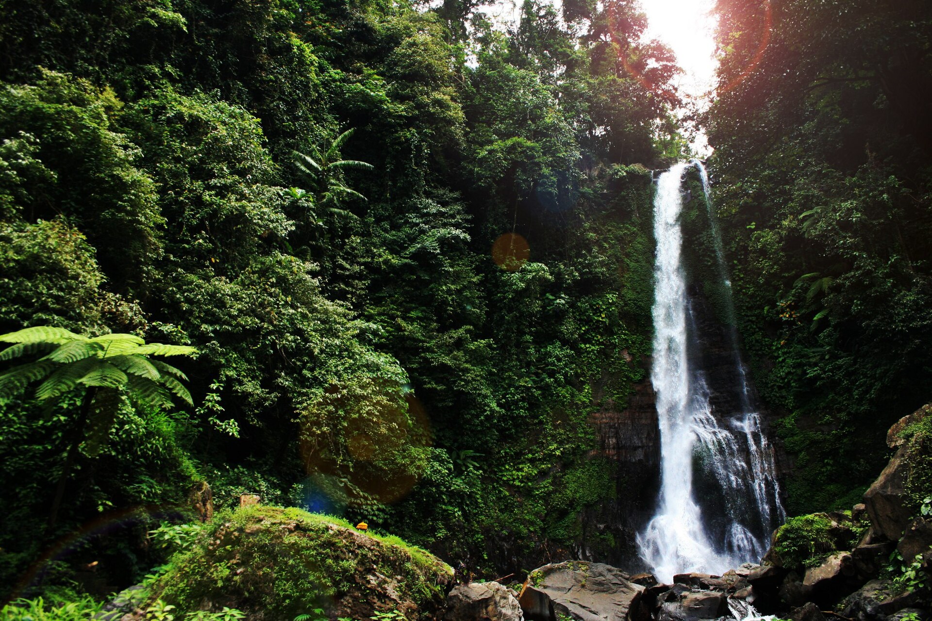 Air Terjun Gitgit di Buleleng, jatuh di antara hutan yang rapat