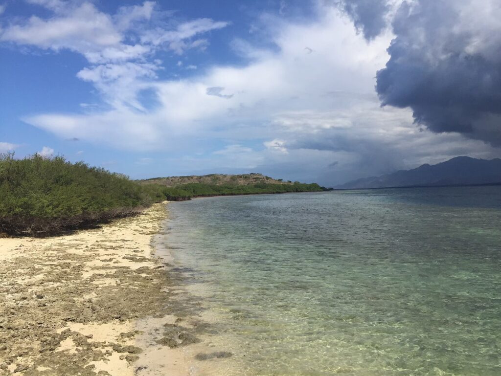 Pantai di Pulau Menjangan, Taman Nasional Bali Barat