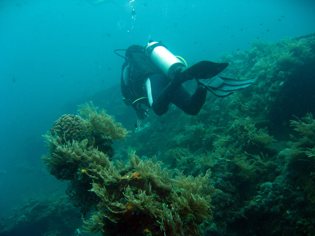 Penyelam di bangkai kapal USAT Liberty, Tulamben, Bali
